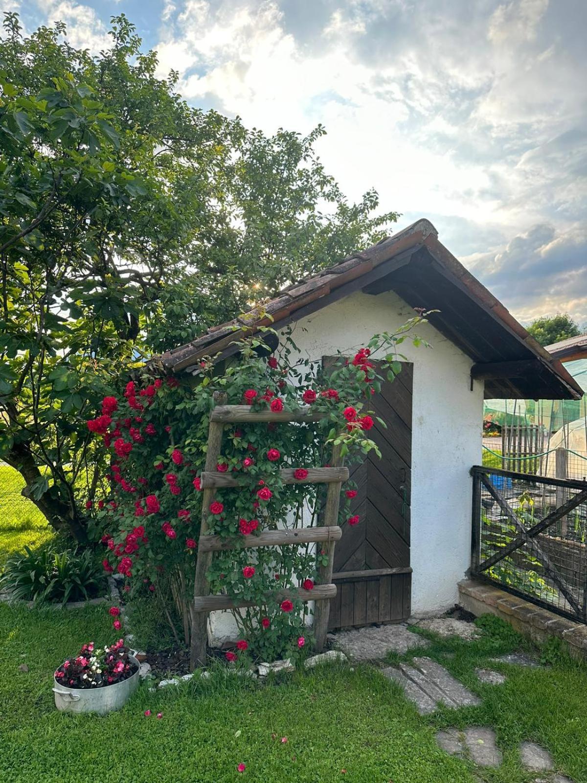 Casa Giovannella Feltre Buitenkant foto